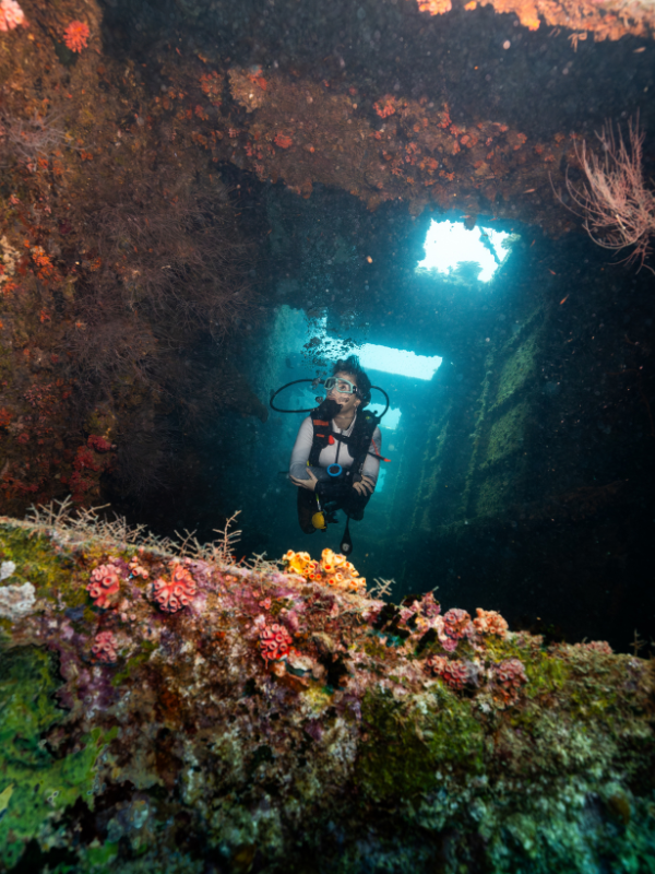 Festive Dive